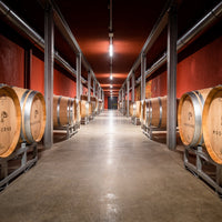 Cantina Moscone - Degustazione Il Monsù Piemonte Cantina Moscone