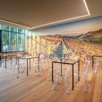 Cantina Moscone - Degustazione Il Monsù Piemonte Cantina Moscone