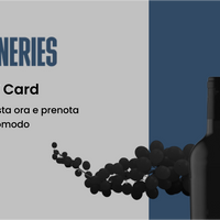 Gift Card Experience WINERIES