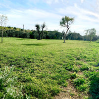 Gaffino - Percorso selezione Lazio Gaffino