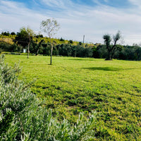 Gaffino - Percorso selezione Lazio Gaffino