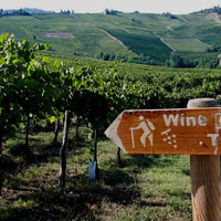 Calatroni wines - escursione in bici, pic nic e degustazione Lombardia Calatroni wines