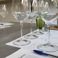 Degustazione vini del Garda a Verona Verona