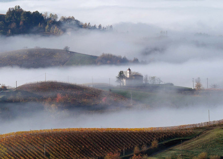 La Briacca Degustazioni - Cuneo, Piemonte