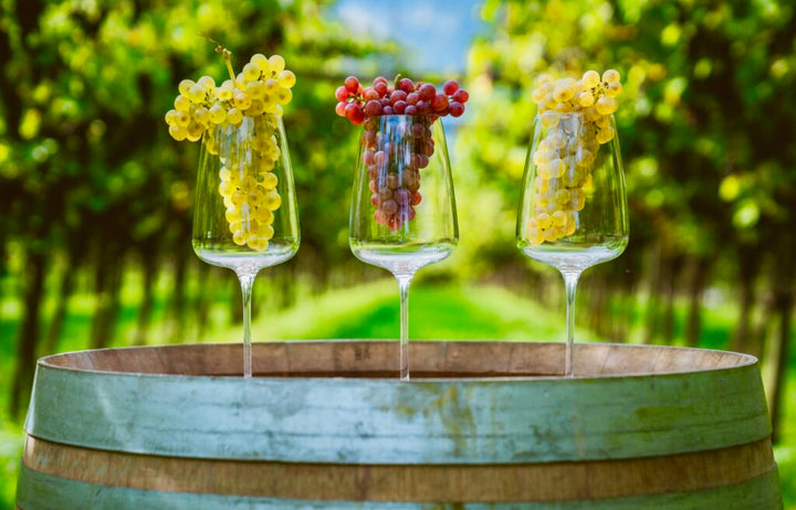 Wine Resort in Toscana: 6 esperienze tra vigne e relax