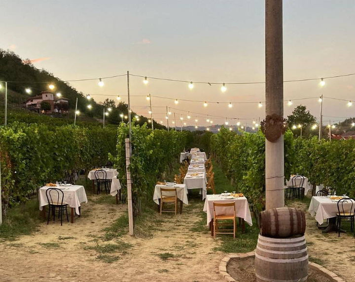 Sapevi che in estate le cantine organizzano le cene in vigna?