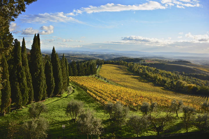 Chianti: viaggio nel mito tra borghi e vigneti