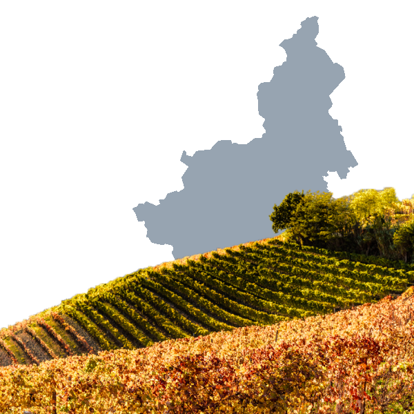 Vigneti della regione Piemonte