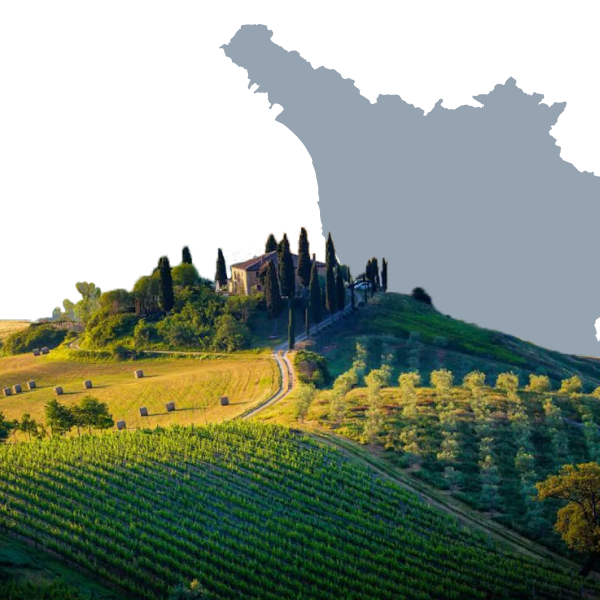 Vigneti della regione Toscana