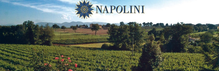 Cantina Napolini