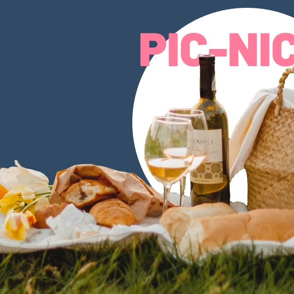 Pic Nic con Degustazioni di Vino: Scopri le Nostre Esperienze