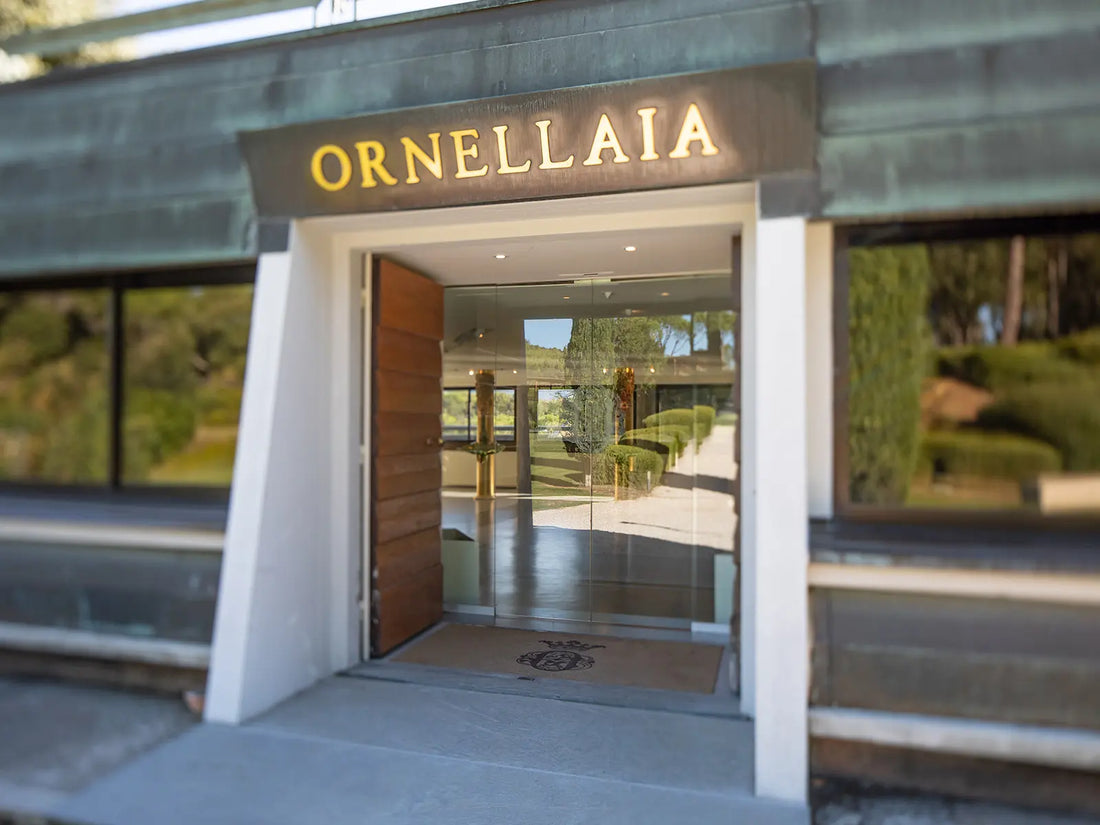 Ornellaia - Degustazione di vino esclusiva