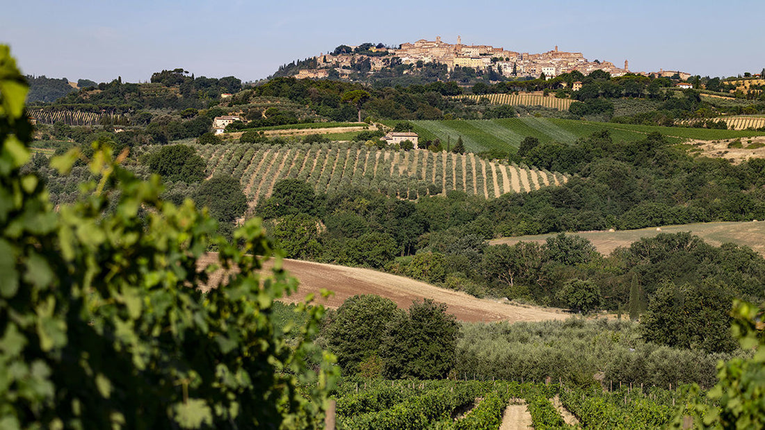 Frescobaldi Calimaia - Degustazione di vino esclusiva