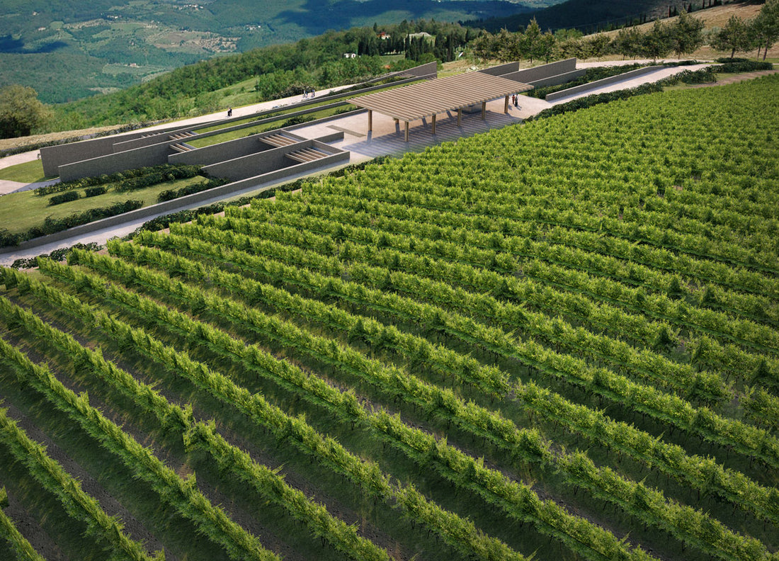 Tenuta Antinori Monteloro - Degustazione di vino esclusiva