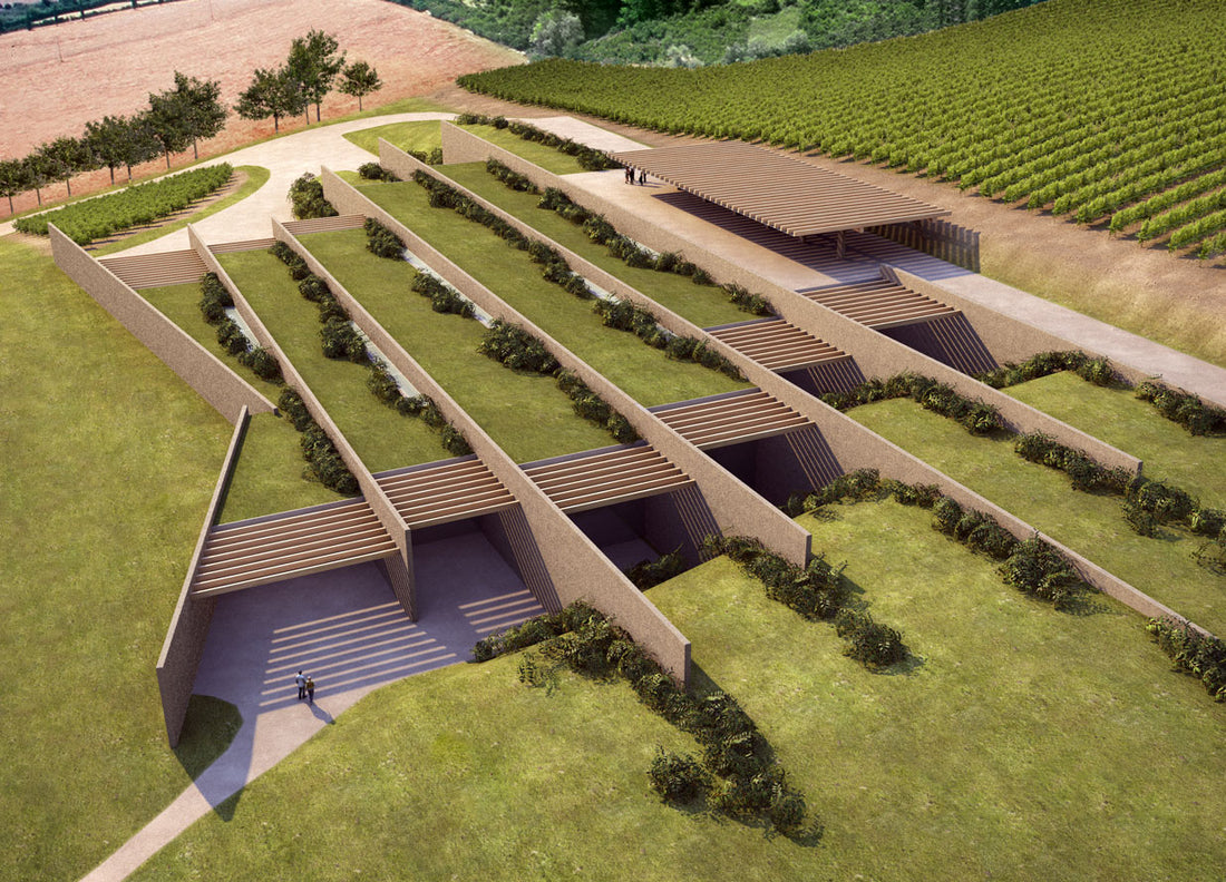 Tenuta Antinori Monteloro - Degustazione di vino esclusiva