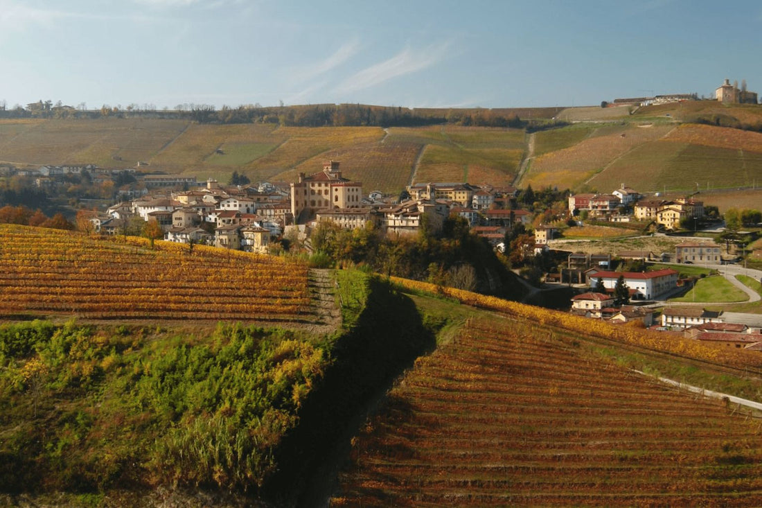 Marchese di barolo - Degustazione di vino esclusiva