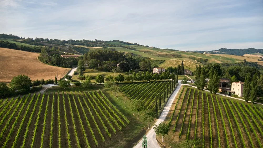 Tenuta Santi Giacomo e Filippo - E-Bike "Alle Origini del Cibo" Marche Tenuta Santi Giacomo e Filippo