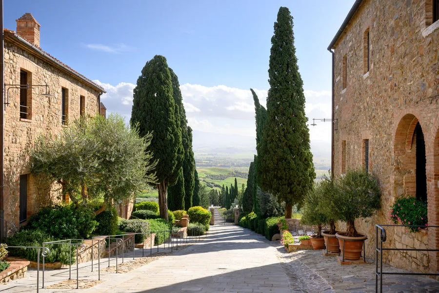 Castello Banfi - Degustazione di vino esclusiva