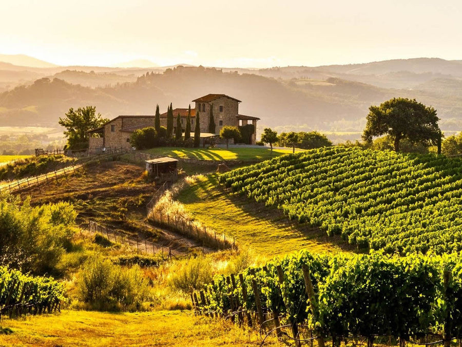 Soggiorno & Degustazione in Wine Resort - Toscana Toscana Toscana