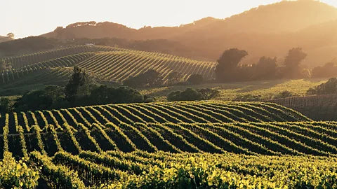 Soggiorno Luxury in Wine Resort - Italia