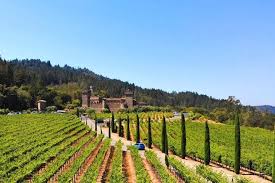 Soggiorno & Degustazione in Wine Resort - Sardegna