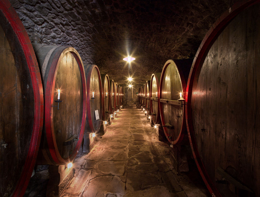 Castelvecchi - Degustazione sensoriale