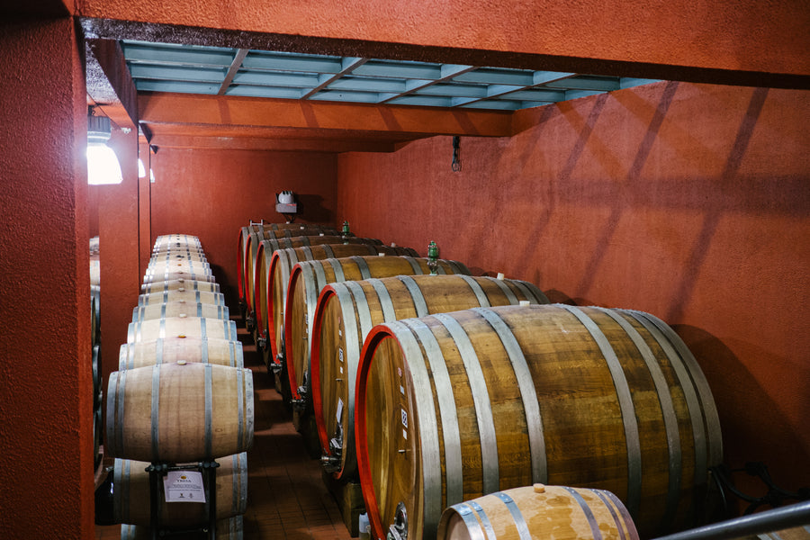 Santa Tresa - Sorsi di identità Sicilia Santa Tresa