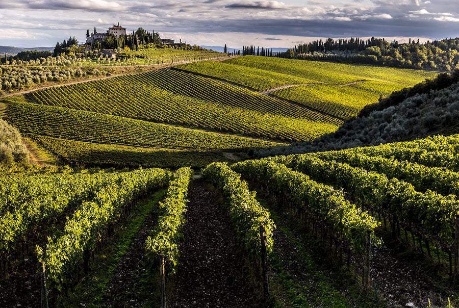 Frescobaldi Tenuta Perano - Degustazione di vino esclusiva