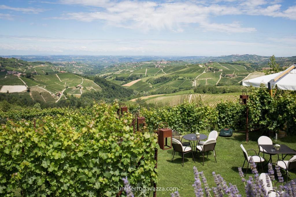 Agriturismo La Torricella - Pranzo/ Cena con degustazione Piemonte Agriturismo La Torricella
