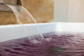 Agriturismo La Torricella - BENESSERE ALL'UVA E DEGUSTAZIONE VINI
