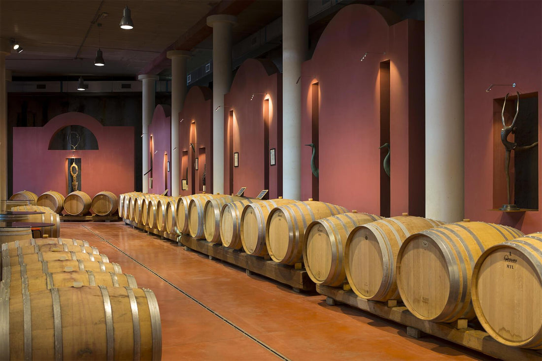 Le Palaie - Degustazione - WINERIES