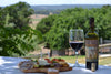 Agriturismo La Torricella - Degustazione Vini 