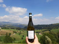 Azienda Agricola Casarotto - Degustazione Base