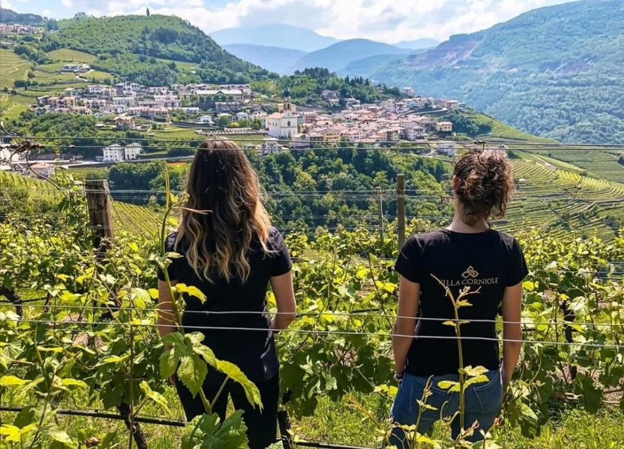 Villa Corniole - Visita e Degustazione in cantina