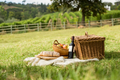 Altarocca Wine Resort - PicNic