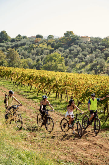 Marco carpineti - In E-MTBike tra le vigne - La pedalata vi assisterà lì dove ha origine il vino