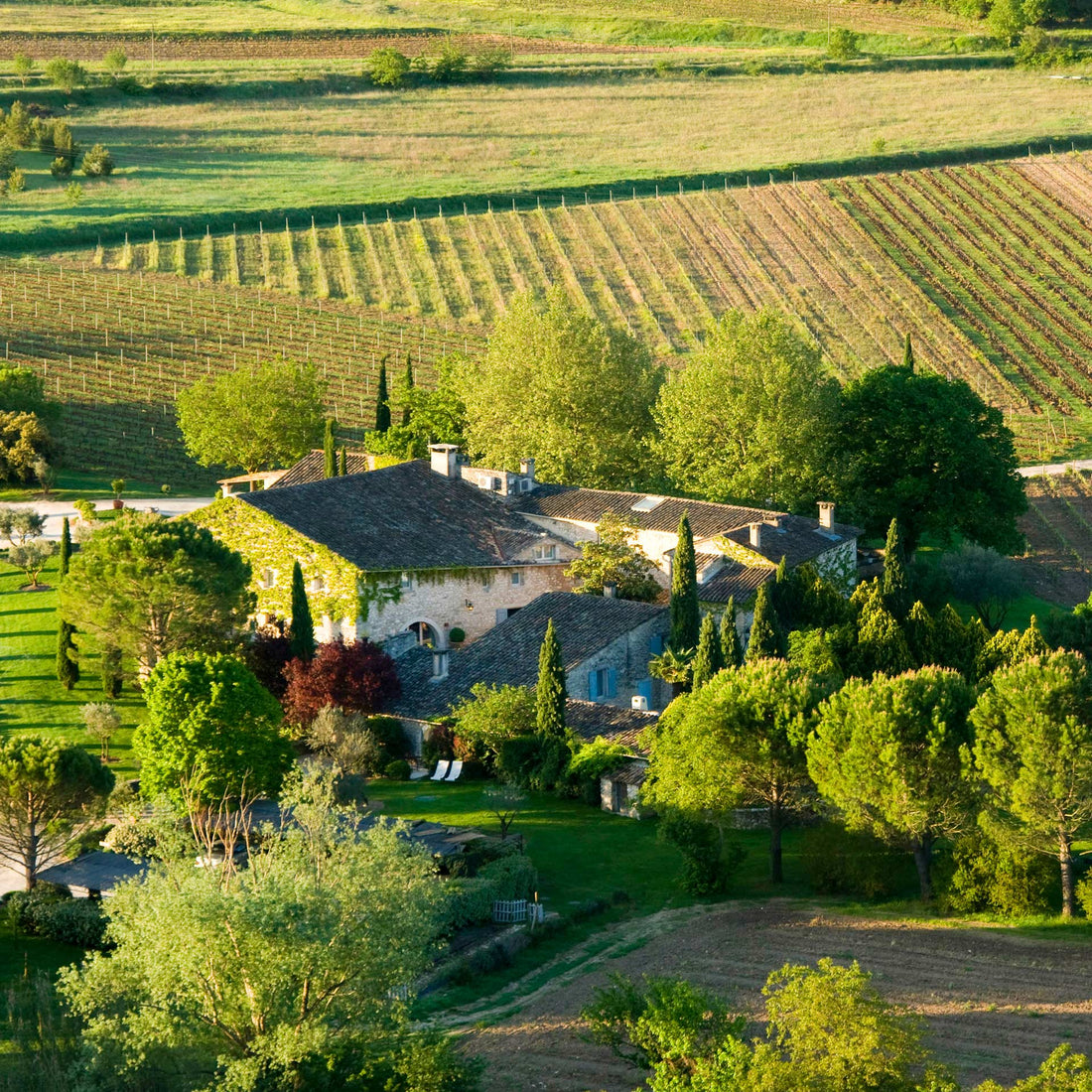 Soggiorno Luxury in Wine Resort - Umbria