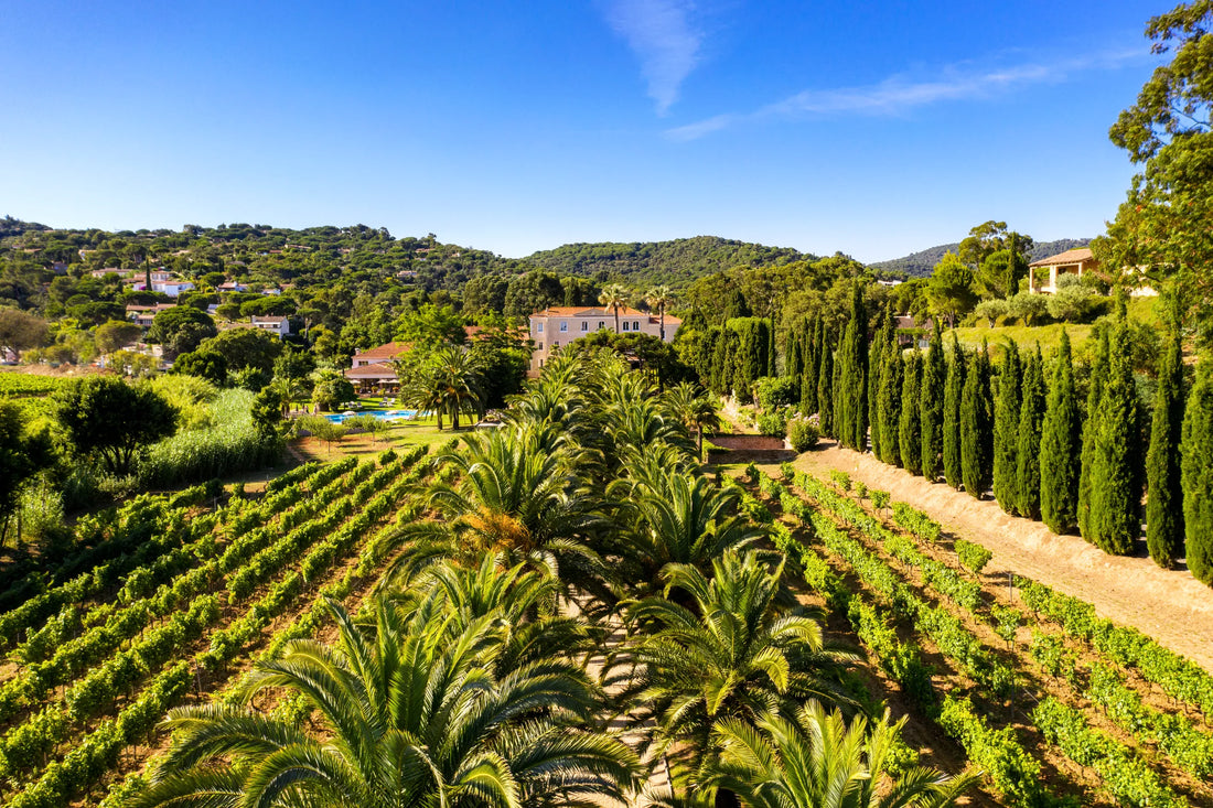 Soggiorno Luxury in Wine Resort - Umbria