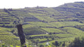 Azienda Agricola Casarotto - Degustazione Top