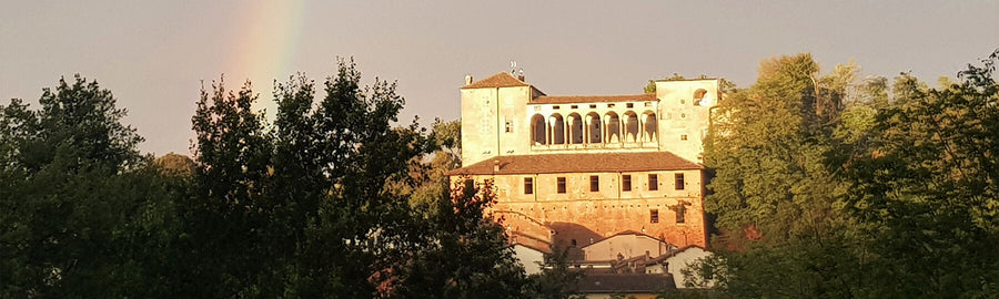 Castello di Tassarolo - Solo Vino - Piemonte