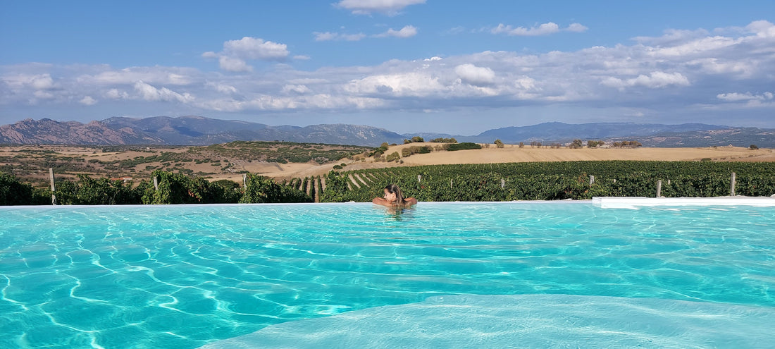 Cantina Gianluca De Addis - Aperitivo a bordo Piscina - WINERIES