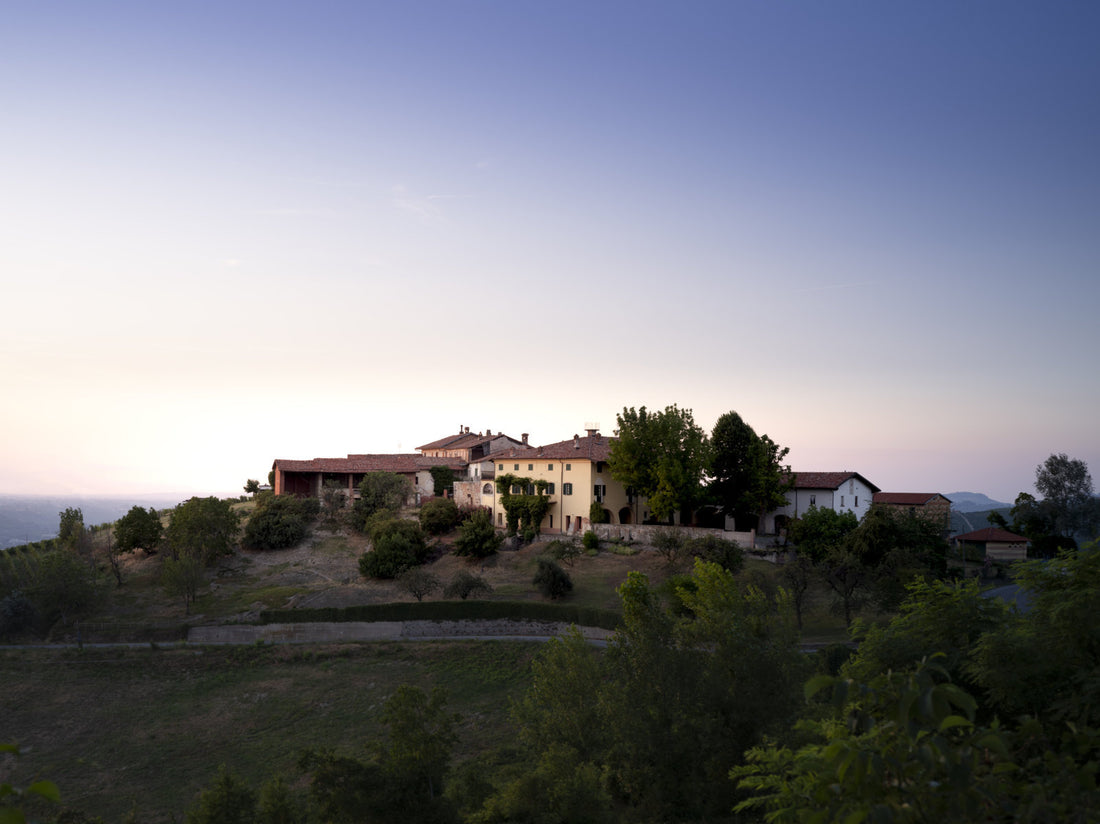 Cantine Luzi Doandei - Degustazione vini Top Piemonte - Piemonte