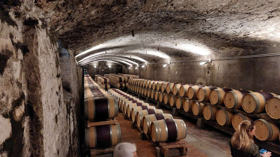 Frescobaldi Castello Nipozzano - Degustazione di vino esclusiva