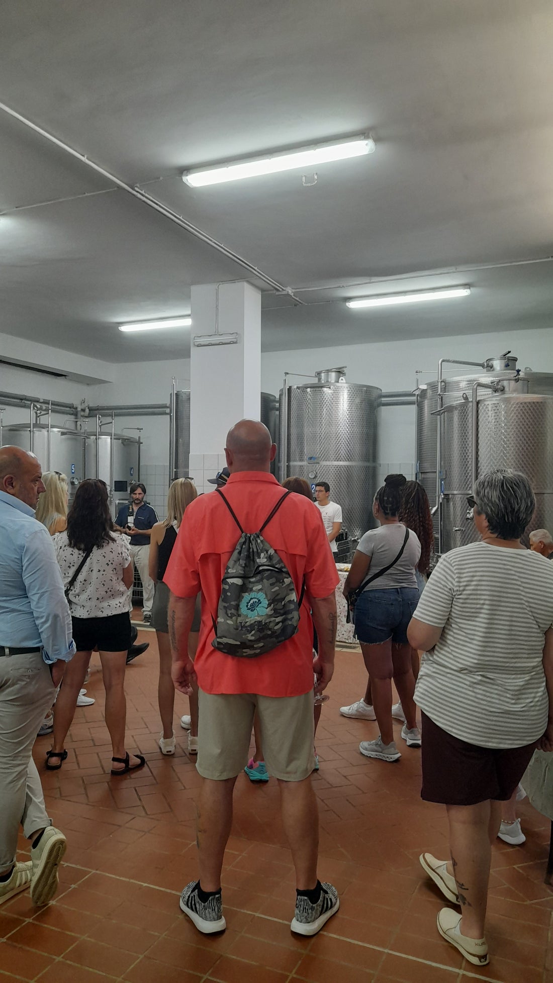 PETRILLO - Pranzo con Degustazione Campania Petrillo