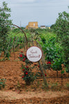 Augustali - I vini nelle terra di Federico II