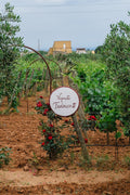 Augustali - I vini nelle terra di Federico II