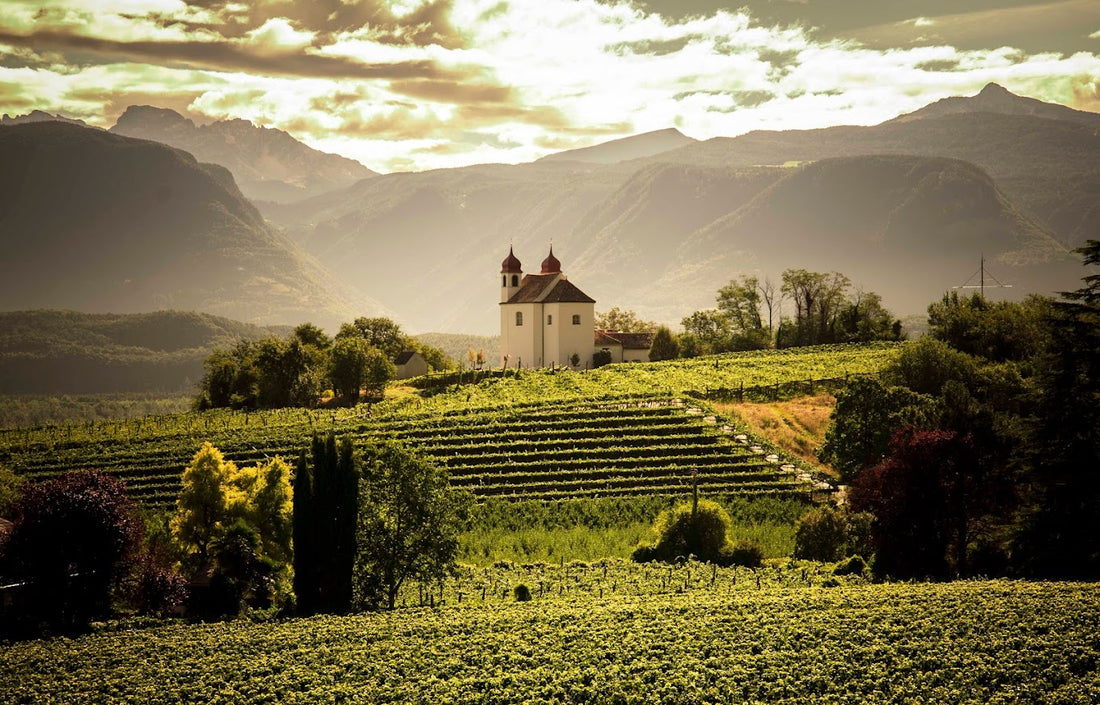 San Michele Appiano - Degustazione di vino esclusiva