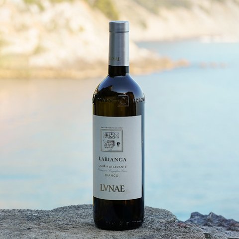 Cantine Lunae Bosconi - Degustazione di vino esclusiva