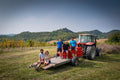 Azienda Agricola AleMat - 4 Vini + Tagliere