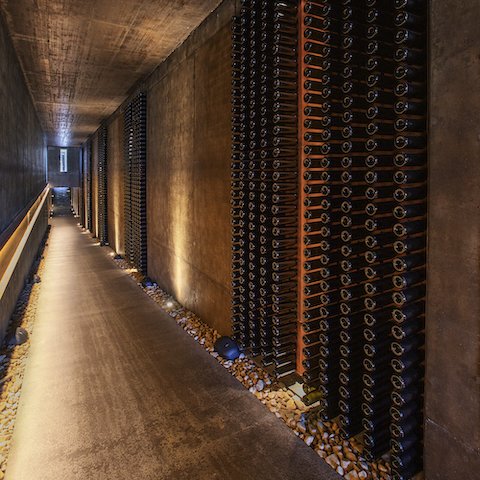 Cantine Lunae Bosconi - Degustazione di vino esclusiva